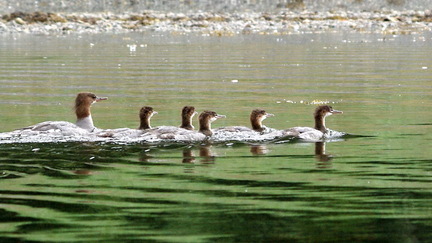 2012-07-27 15-44-41 - IMGP2012 cropped